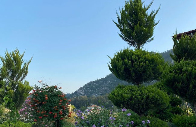 MERMAID PANSIYON - Photo 50