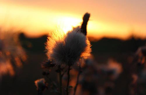 Domki Loft nad Stawem - Foto 57