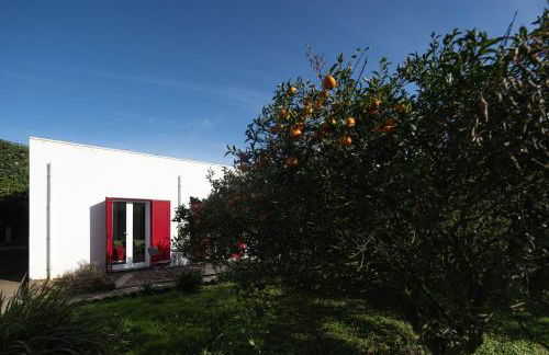 Quinta do Ferreiro - Photo 43