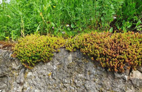 Haus Goldfuß - Foto 41