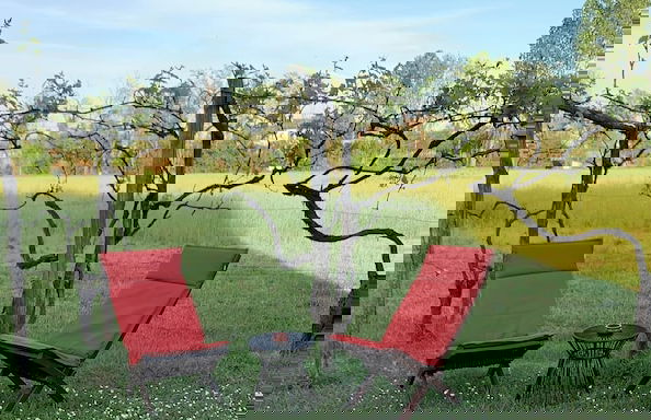 Agriturismo La Terzola 3.0 - Foto 43