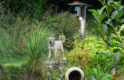 Sammy's FeWo - Foto 37