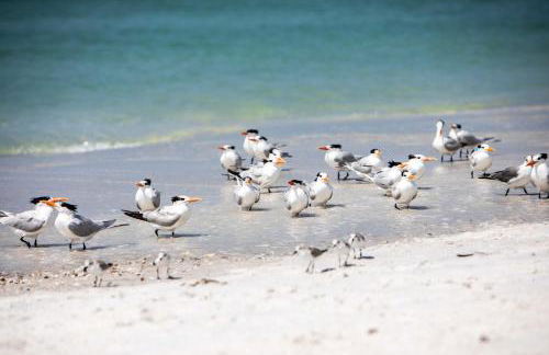 Luxury Home with Hot Tub & Outdoor Oasis blocks from the Beach - Foto 73