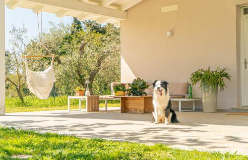 Casa RiVa - Among olive trees and the Tuscan coast - Photo 20