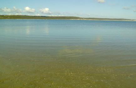 Apartments Mirana - Foto 14