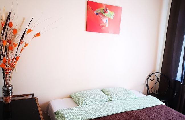 Orange Studio - Photo 52