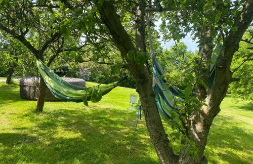 Holly Cottage - Foto 29