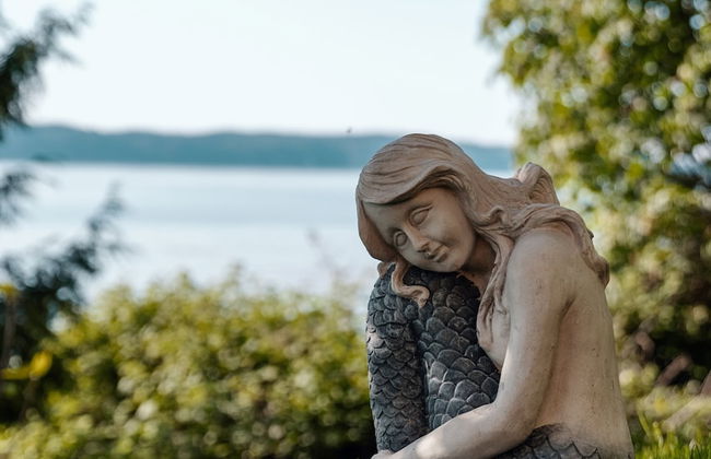 Stunning House with Views of Puget Sound Ideal for Family Reunions - Foto 64