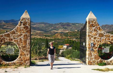 Ciuci's Manor - Foto 51