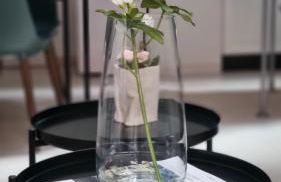 Wohnung im Zentrum von Göttingen - Foto 35