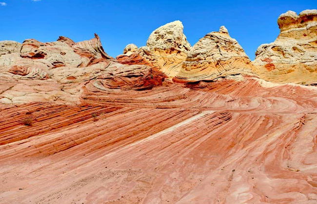 White Pocket Tour - Photo 3