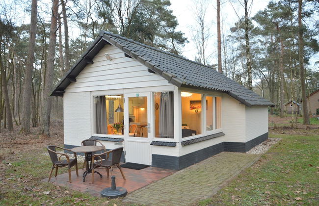Completely Detached Bungalow in a Nature-filled Park by a Large fen - Photo 1