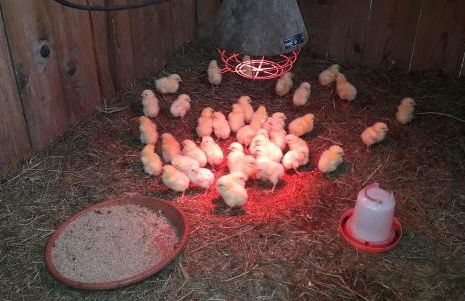 Beim Heiß'n - Photo 17