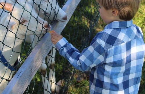 Andreashof - Foto 28