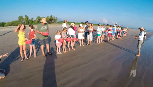 Turtle release about to take place