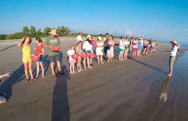 Ixtapa Zihuatanejo Sea Turtle Release - Photo 5