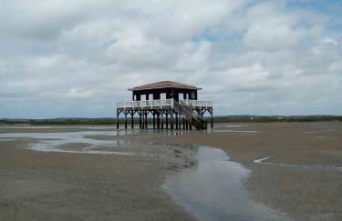 Gîte les 2 pins - Audenge - Foto 25