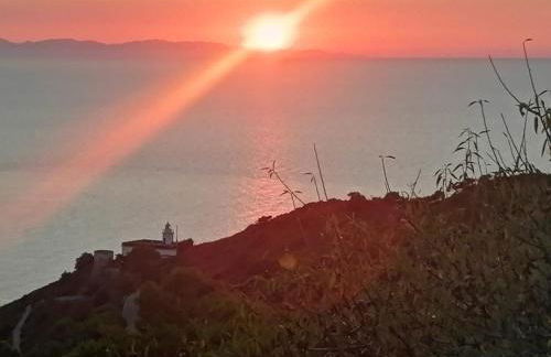 L' Elicriso - Foto 36