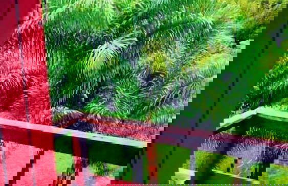 Nosso Recanto Gaúcho - Foto 10