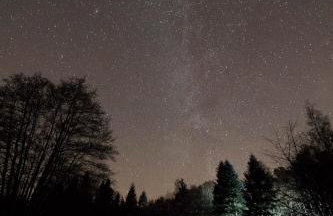 Willow View Boutique Streamside Retreat near A1 J59, Durham & Darlington - Photo 3