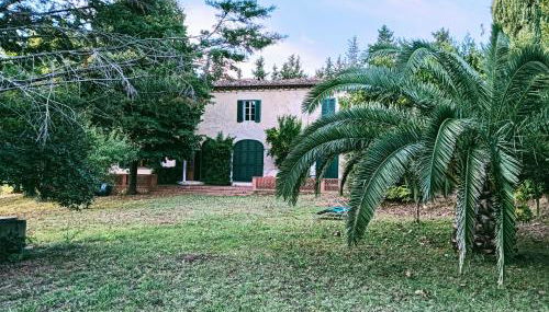 Podere Il Cardellino - Photo 1, Garden view