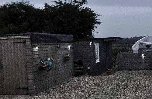 The Pigsty - Photo 4