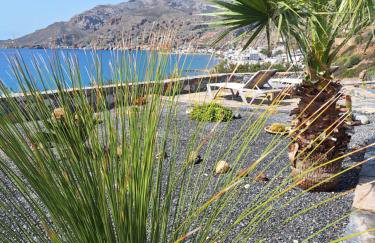 Evgoro - Infinite View - Foto 7