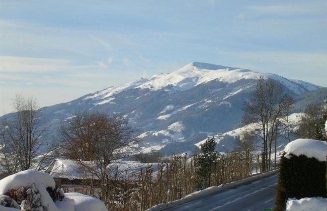 Flat in Mittersill Near Ski Lift - Foto 30