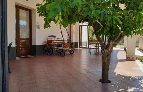 Segesta Antichi Sapori - Foto 21