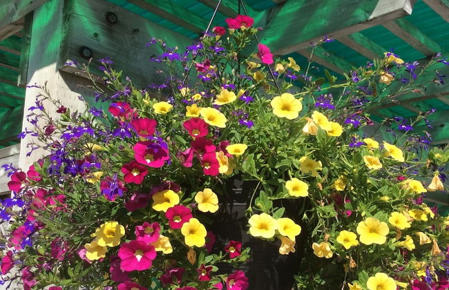 Villages of mountain Gap Cottages - Foto 50