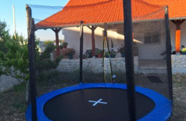 Apartmani Dejan - Photo 22