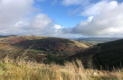 Bronfelin & Troed-y-rhiw Holiday Cottages - Foto 46