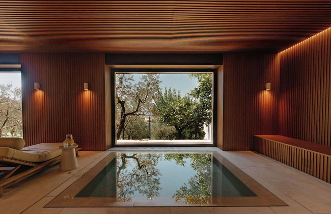 Aethos Saragano - Foto 59