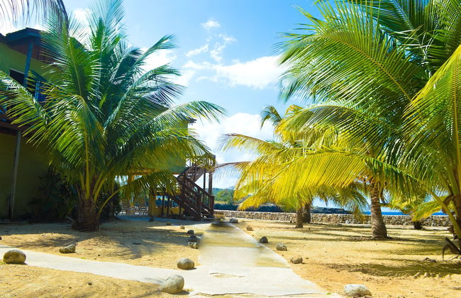 Le Mer Guest House & Villa - Lucea - Photo 28