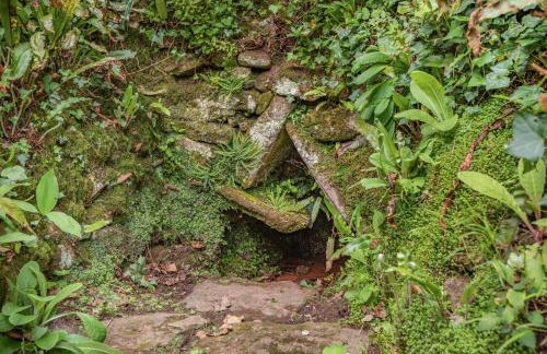 Saint Pancras Chapel - Foto 75