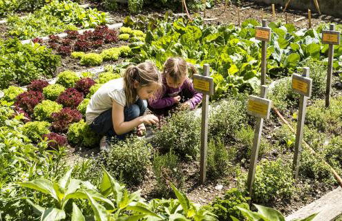 Aussermahrhof - familyfarm - Foto 45