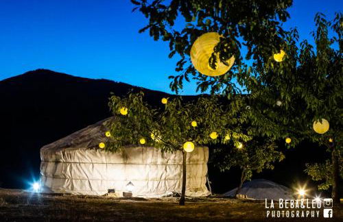 Società Agricola Cacigolara - Photo 7