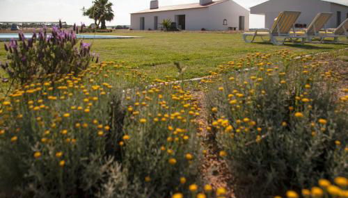Monte Da Azarujinha - Foto 1, Garden view