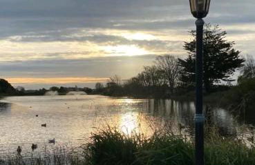 The Salty Bee - Photo 10