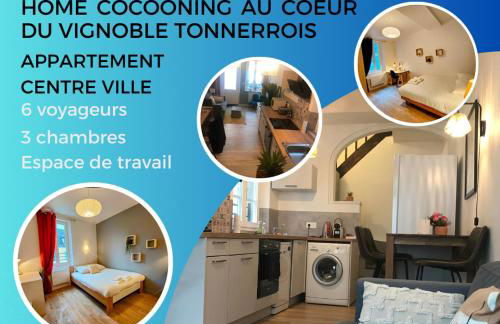 Appartement au coeur du vignoble tonnerrois - Foto 1
