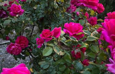 Appartement exceptionnel belle époque avec grande terrasse plein sud - Foto 8