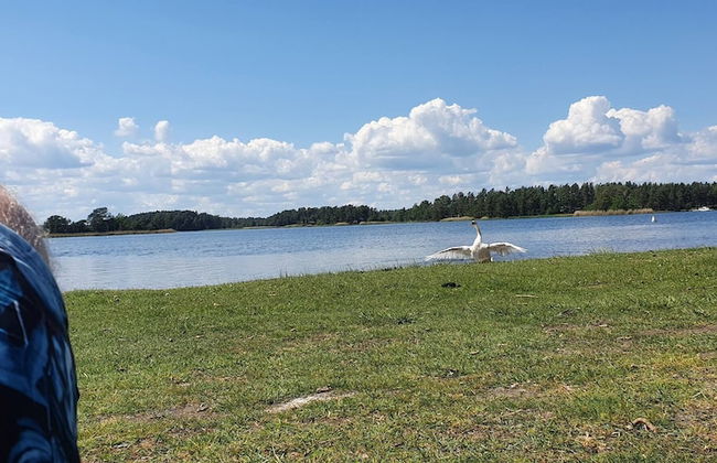 Well-equipped Beachside Cottage - Foto 70