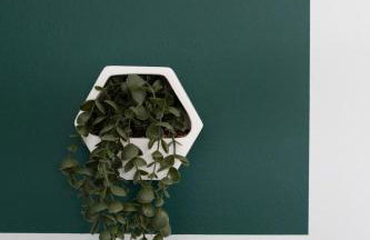 Chelmsford Reach 3 bed house near centre,free parking, Wi-Fi, table football - Foto 19