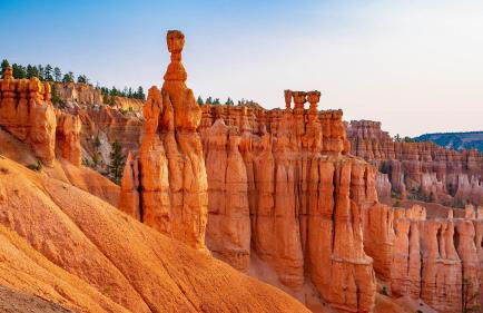 The Honeybee at Zen Zion - Foto 42