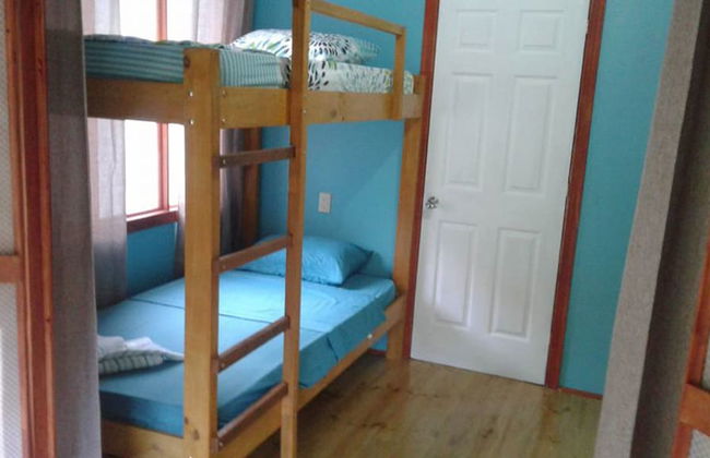 Drake Lapas - Foto 3