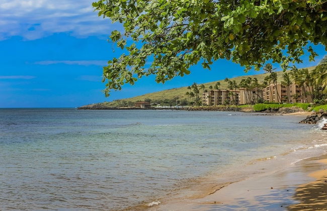 Lauloa 407 2 Bedroom Condo - Foto 45
