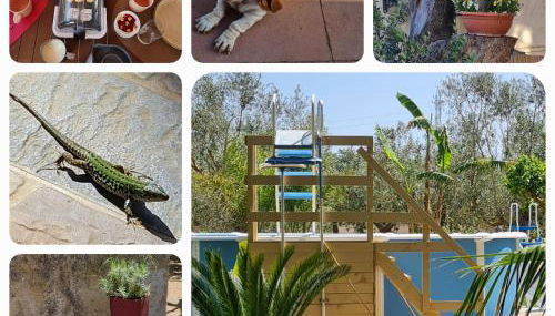 Villa Ulrike - Foto 3