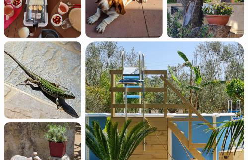 Villa Ulrike - Foto 3