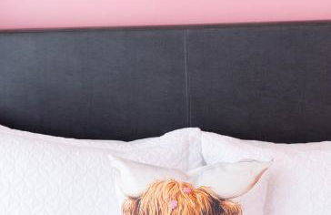 Lipstick & Boots 10 min to Broadway, Music Row, Fun - Foto 22