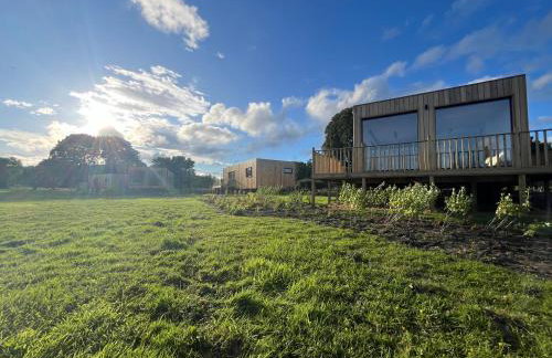 Unbox at Poplar Tree - Photo 4